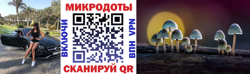 Псилоцибиновые грибы мицелий  Купить где  Бор 