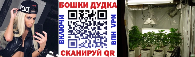 Купить закладки  Бор  Шишки марихуана MAZAR 
